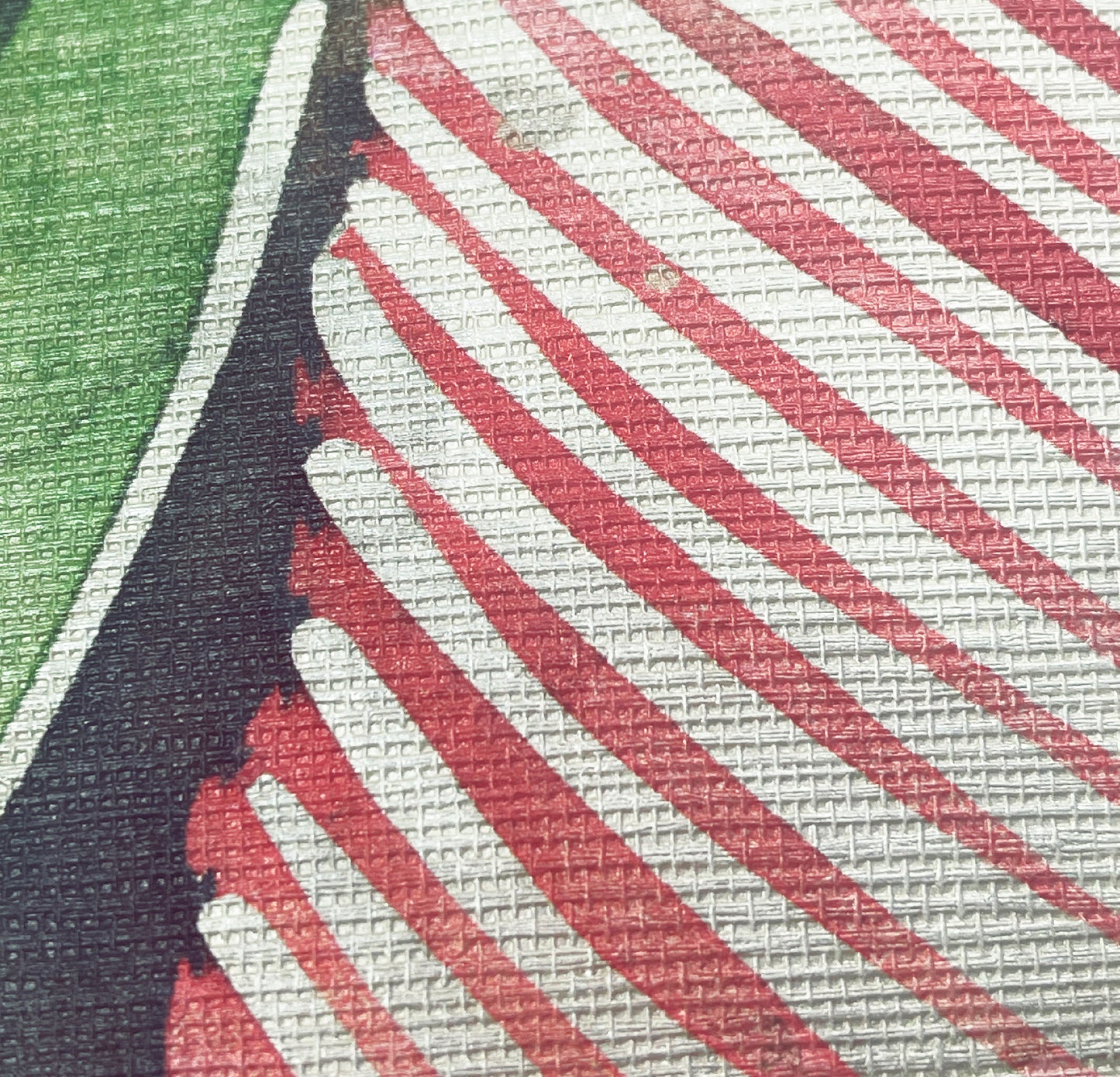 Close-up of a fabric with red and white striped pattern on a green and black background
