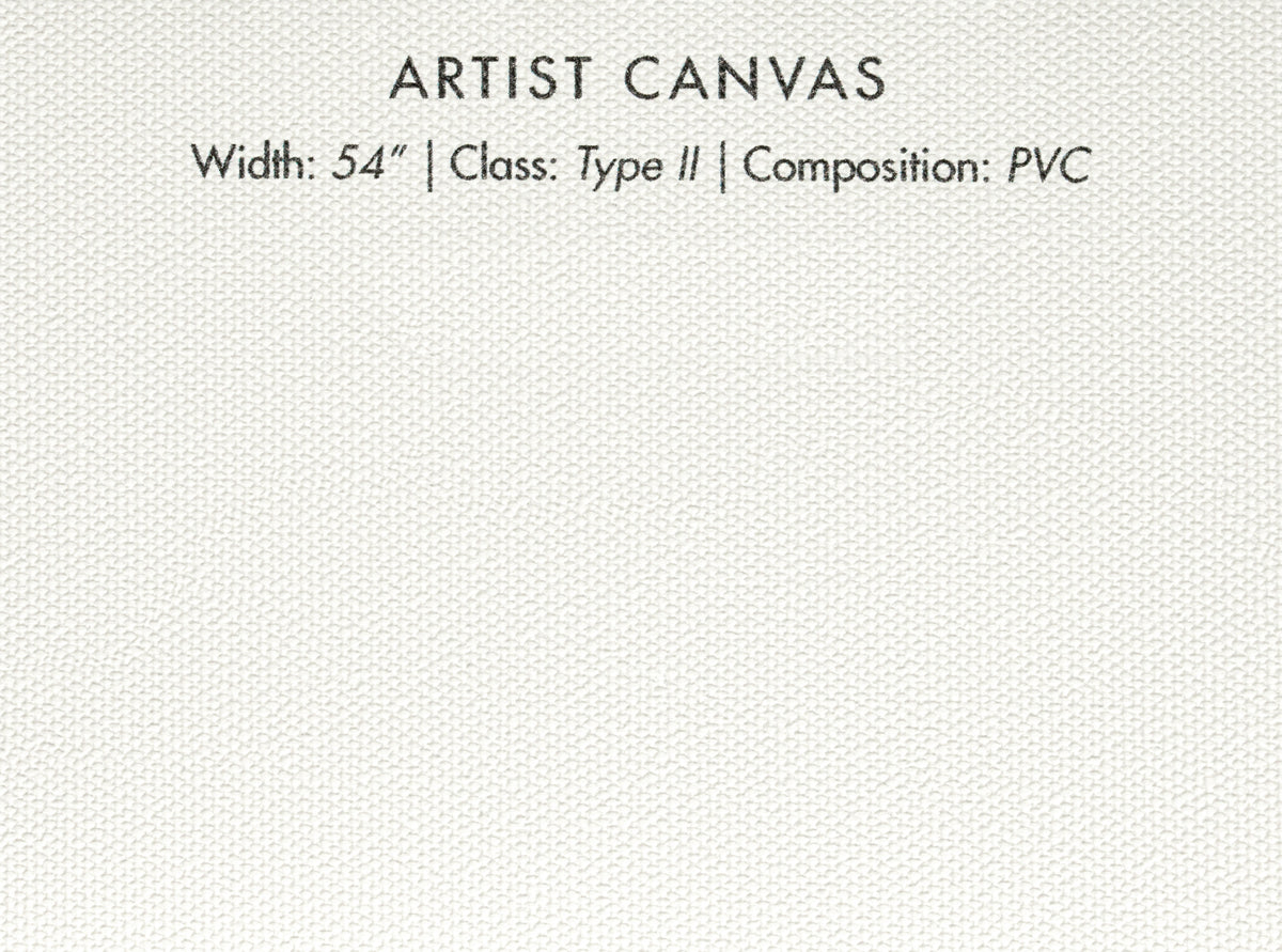 Artist Canvas texture