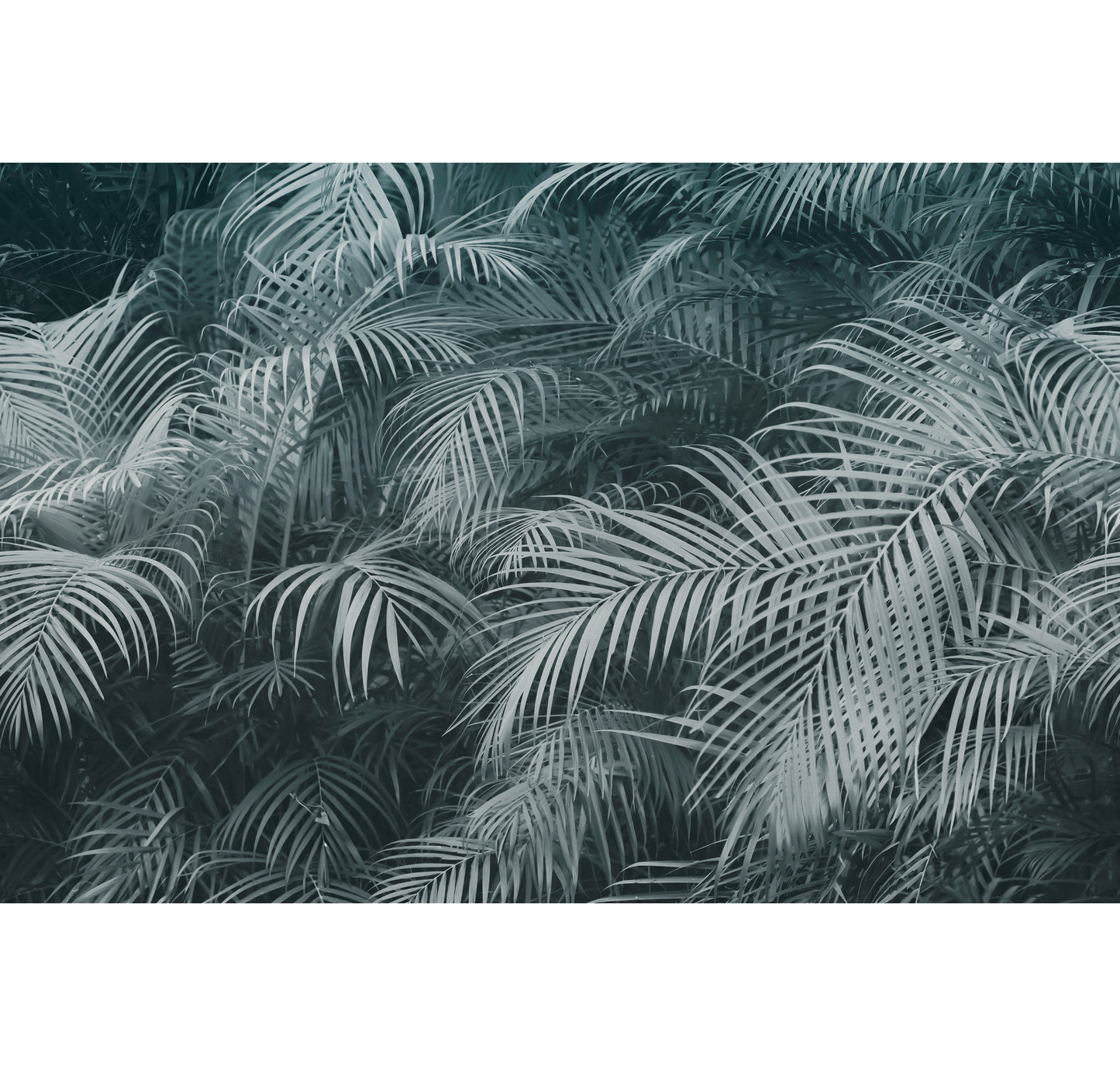 HAVEN MIST
