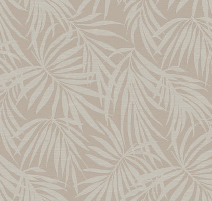 Fronds Silhouette Blush by HDWALLS — layered tropical palm leaf wallpaper in soft blush neutrals