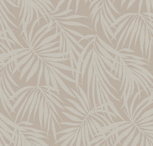 Fronds Silhouette Blush by HDWALLS — layered tropical palm leaf wallpaper in soft blush neutrals