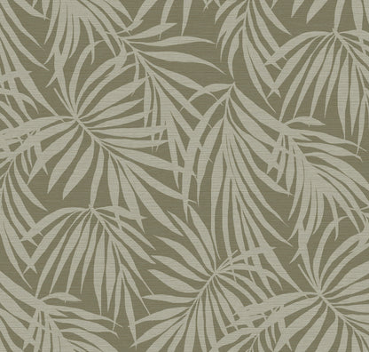 Fronds Silhouette Hemp Green by HDWALLS — layered palm leaf wallpaper in earthy green tones