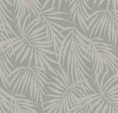 Fronds Silhouette Light Sage by HDWALLS — layered palm leaf wallpaper in pale sage green