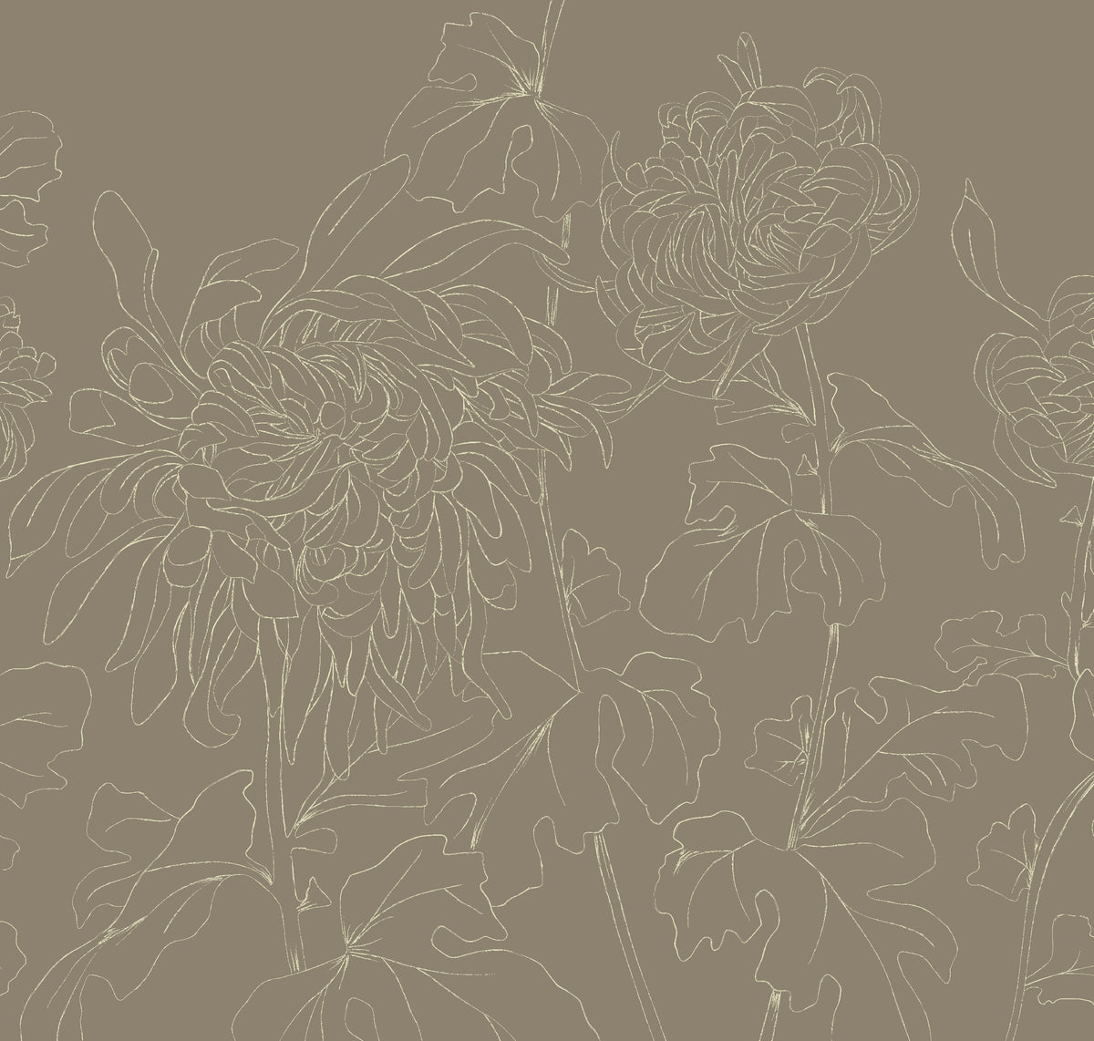 CHRYSANTHEMUM CARAMEL