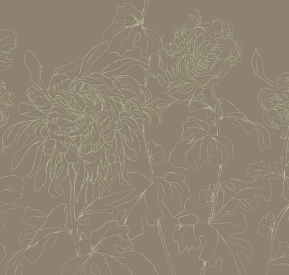 CHRYSANTHEMUM CARAMEL