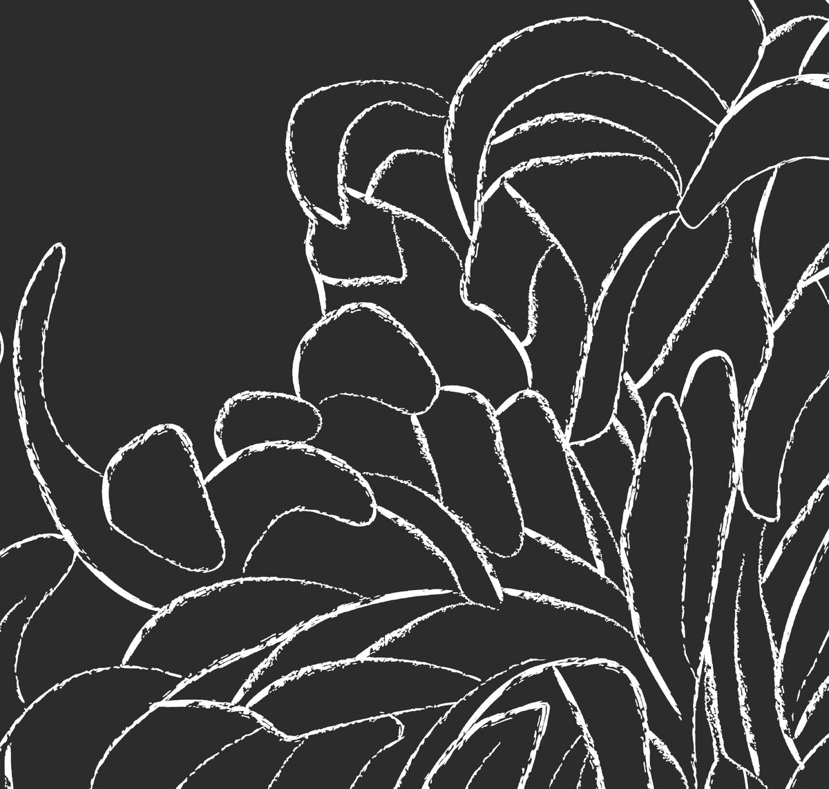 Chrysanthemum Chalk charcoal floral mural wallpaper product swatch — HDWALLS Type II vinyl