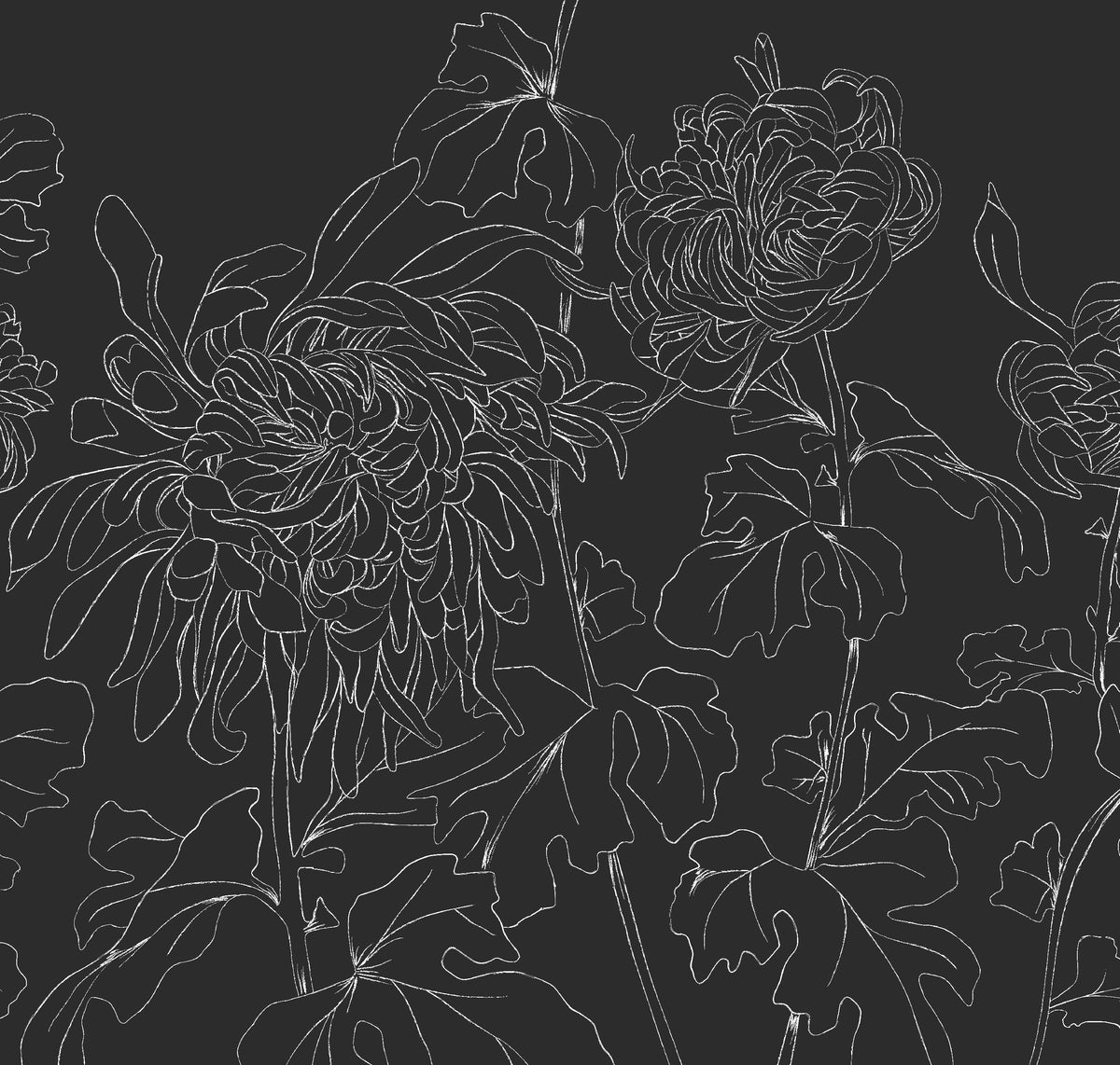 CHRYSANTHEMUM CHALK