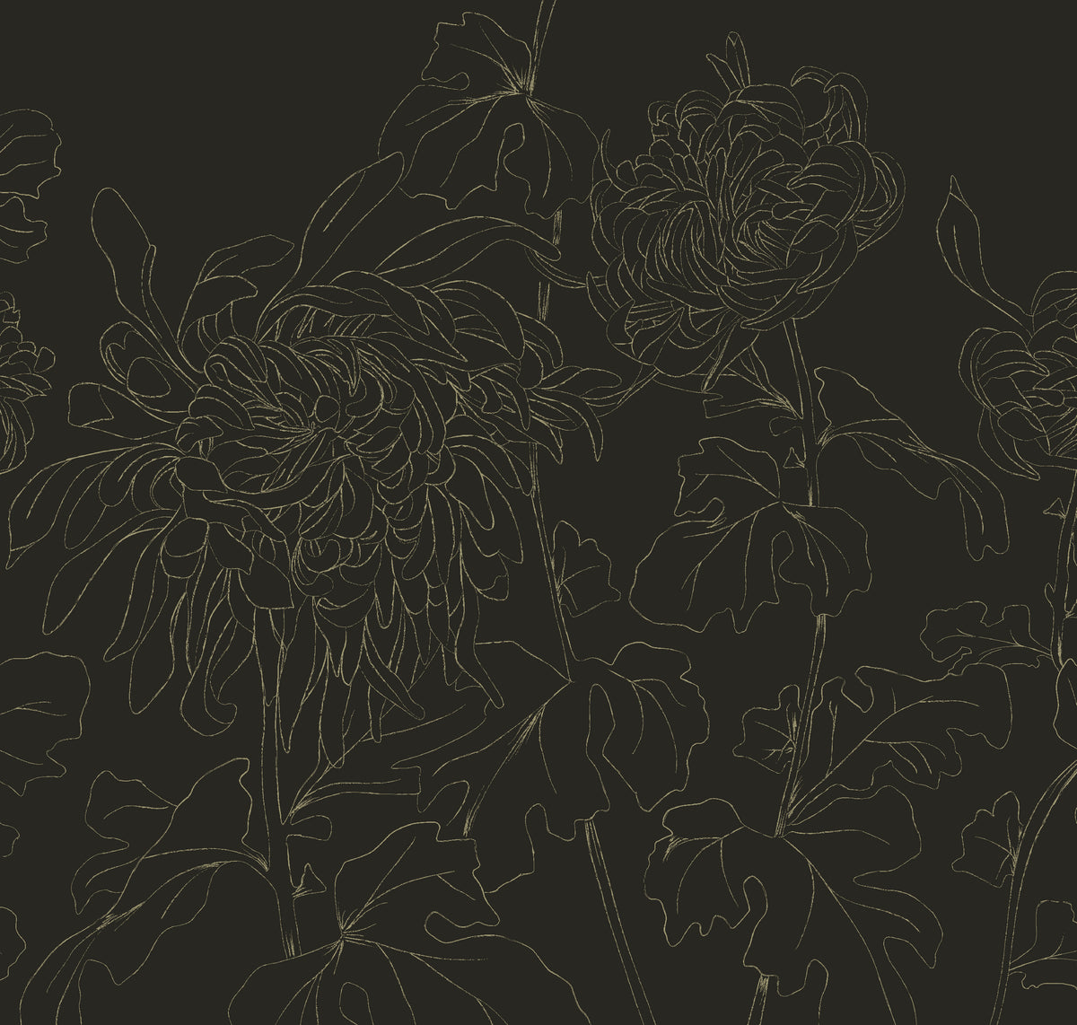 HDWALLS Chrysanthemum floral wallpaper brown digital swatch