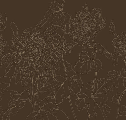 CHRYSANTHEMUM NUTMEG