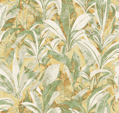 TROPICA HAVANA HONEY