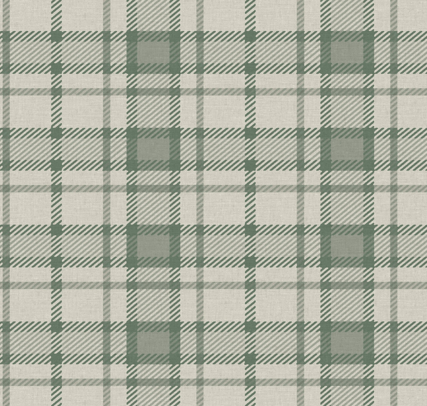 ANGUS DALE OLIVE
