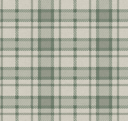 ANGUS DALE OLIVE
