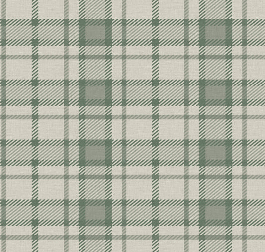 ANGUS DALE OLIVE