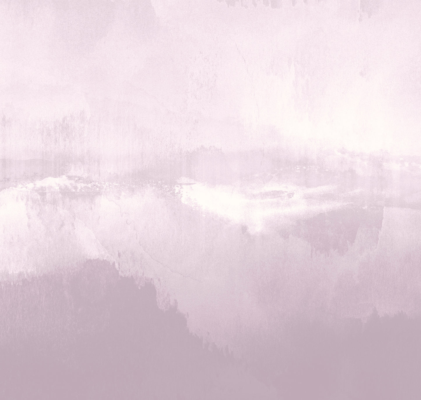 COVE LILAC